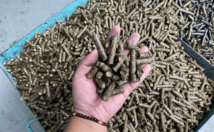 生物質能源是天然的綠色燃料，燃燒后從原料再生到能源轉化，可全周期趨于碳的零排放。因此實現碳中和目標，生物質能大有可為