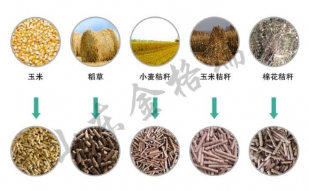 解析顆粒機設備生物質顆粒燃料的4大誤區