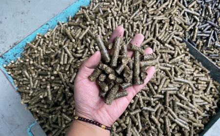 江蘇揚州廣陵區開展生物質顆粒生產安全專項整治行動